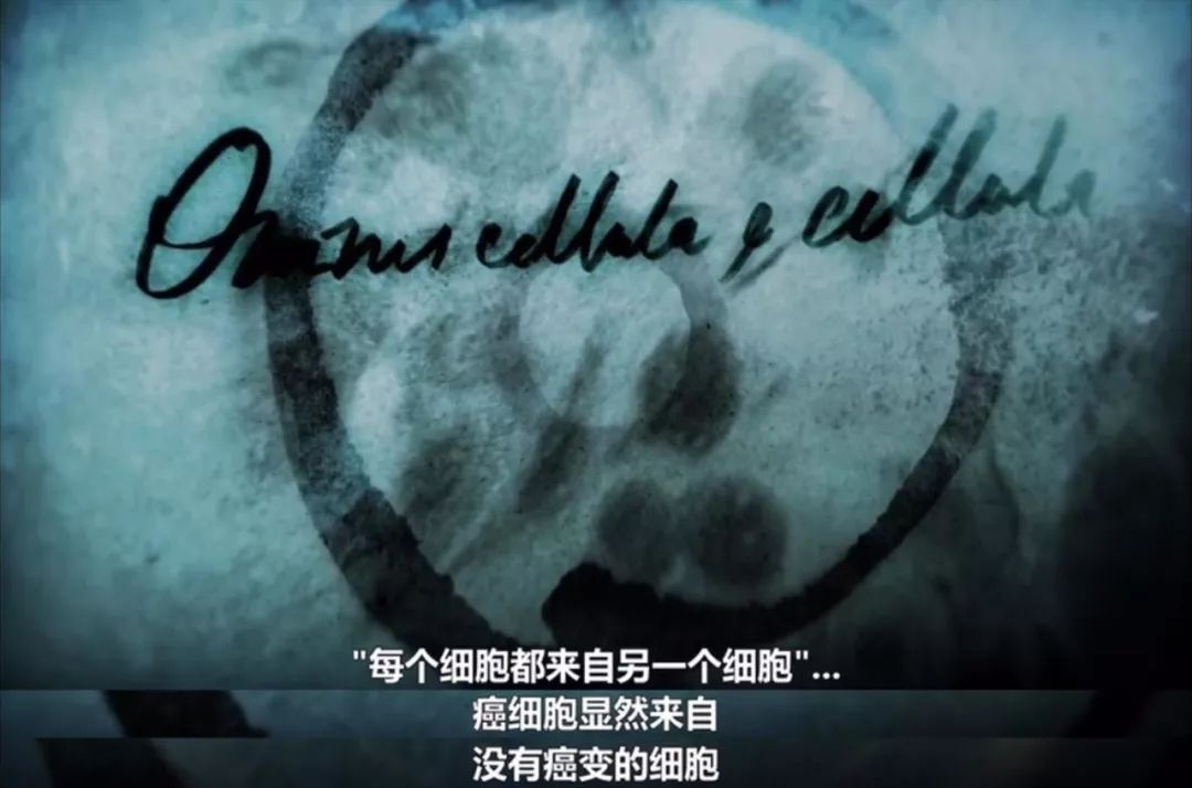 只要活得足够久，人总会患癌