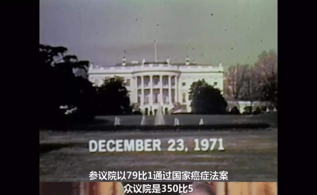 只要活得足够久，人总会患癌