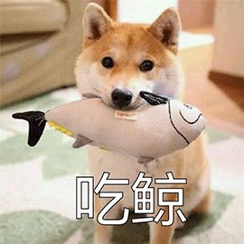 听我的，一次性把论文作图与数据处理全部搞定！