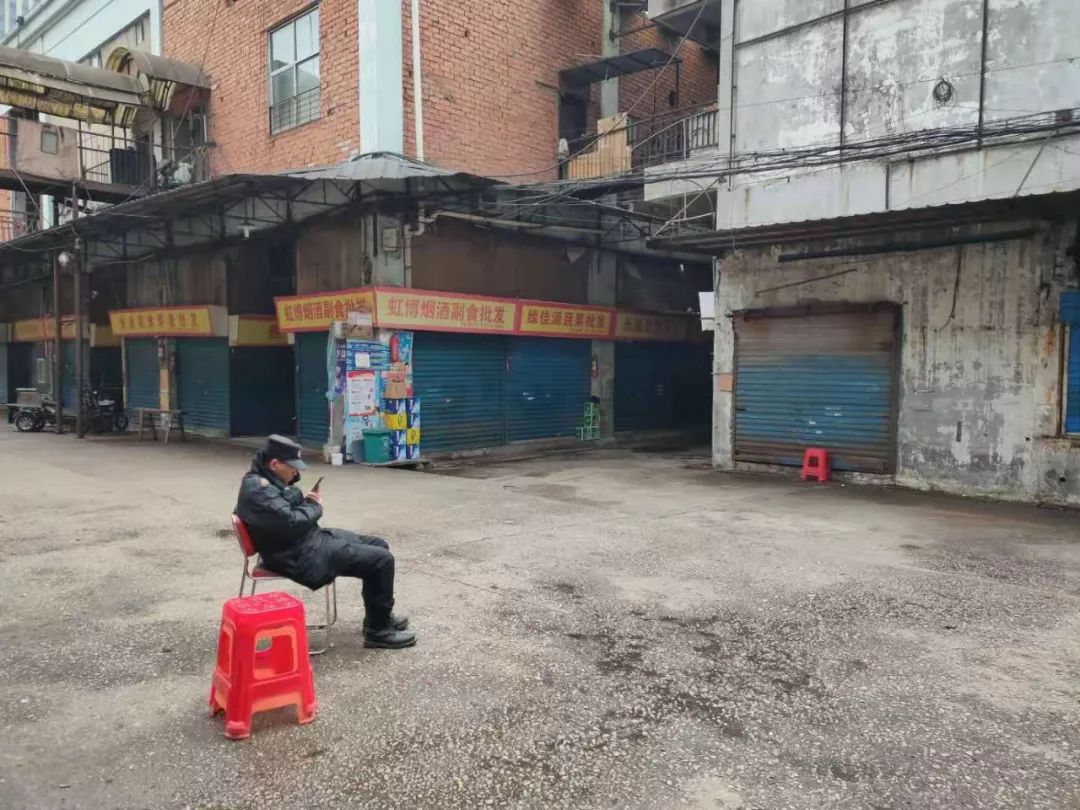 武汉病毒纪事——2020 年的第一场疫情 武汉病毒纪事——2020 年的第一场疫情