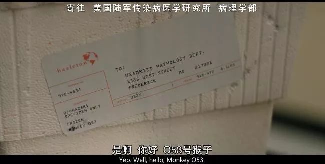 31 年前，一场差点爆发在美国的「埃博拉」