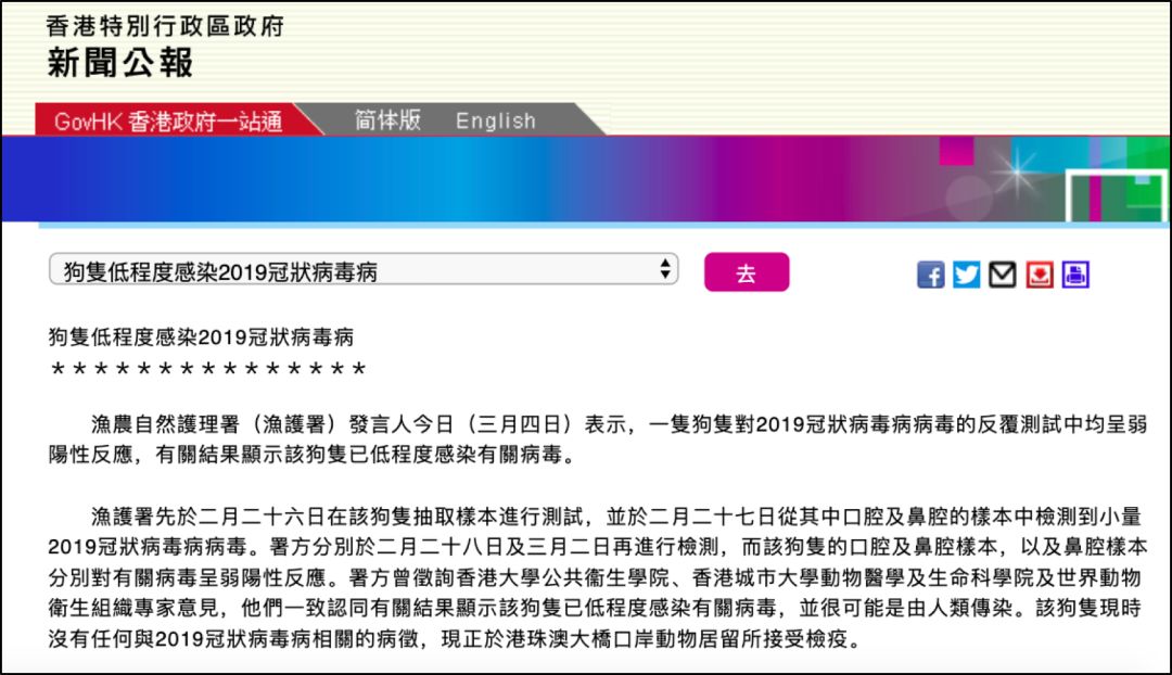 香港一只宠物狗被检出新冠弱阳性，不代表宠物可以传播病毒