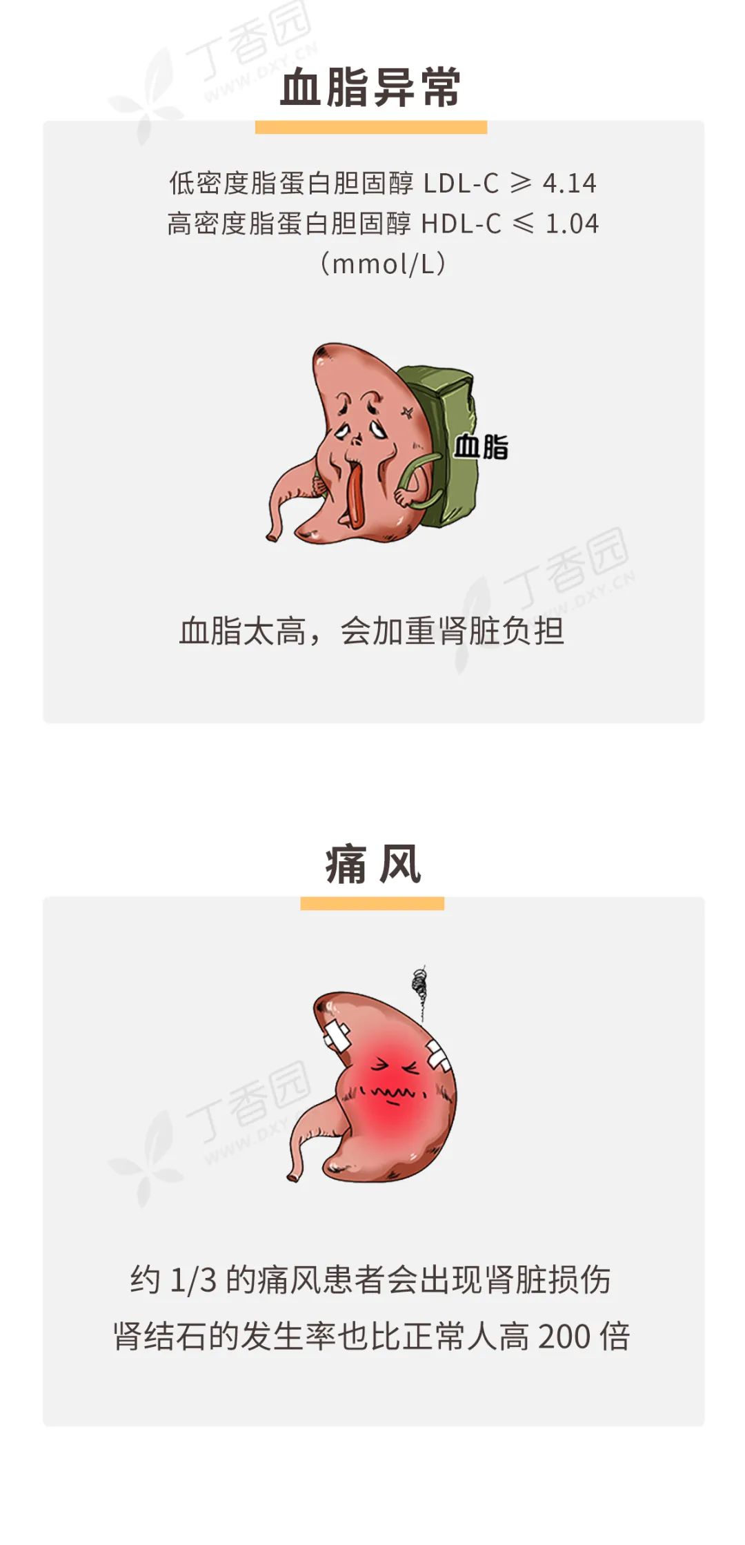 如何保护好你的肾，看这张图就够了 | 世界肾脏日