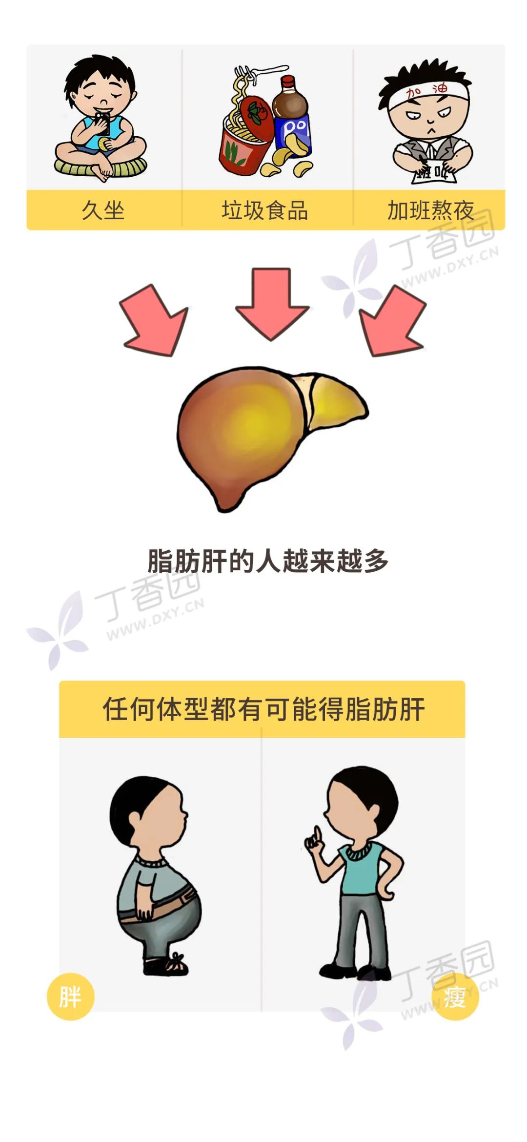全国爱肝日：这些伤肝的习惯你有吗？