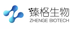 臻格生物完成5100万美元A轮融资