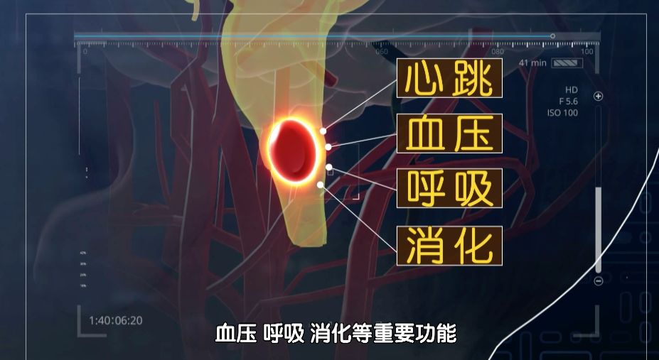 一个直径不足 2 cm 的肿瘤，却令世界上绝大多数医生恐惧