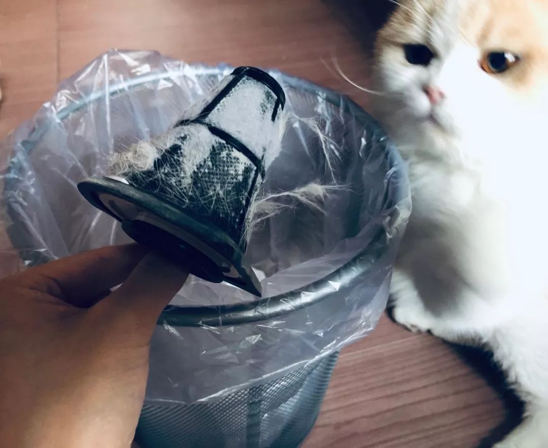 妈呀，每天睡的床竟然有这么脏！