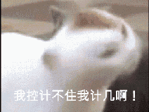 医学狗虽然穷,双十一剁手可能比一般人更狠 医学狗虽然穷,双十一剁手可能比一般人更狠
