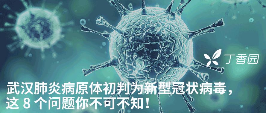 最新：武汉不明原因病毒性肺炎，出院 2 例、死亡 1 例，附官方解读