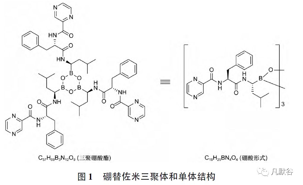 化学仿制药有机杂质分析和控制实例解析