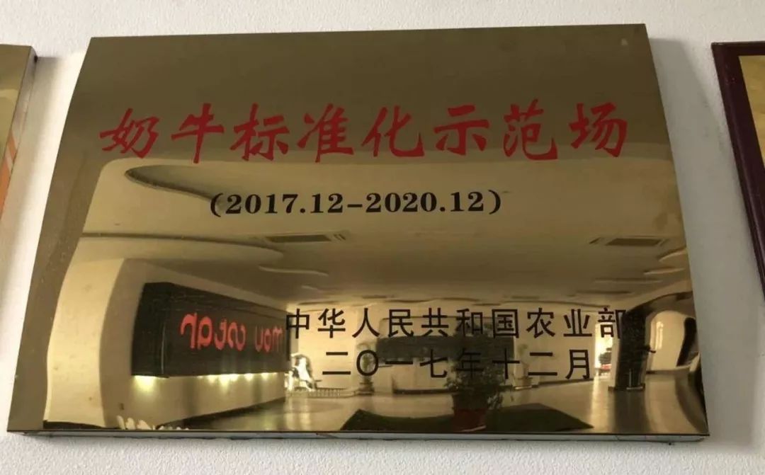 牛奶怎么选才靠谱？选它，补钙又好喝！