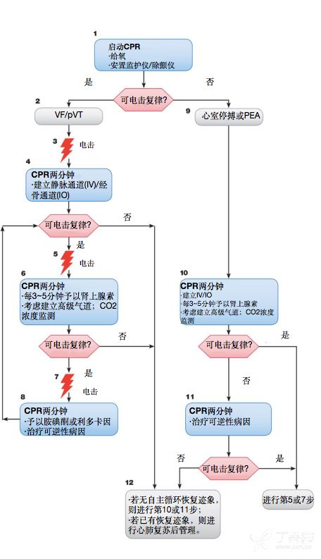 高以翔猝死 | 突发心搏骤停,心肺复苏如何做?看看最新指南 高以翔猝死 | 突发心搏骤停,心肺复苏如何做?看看最新指南