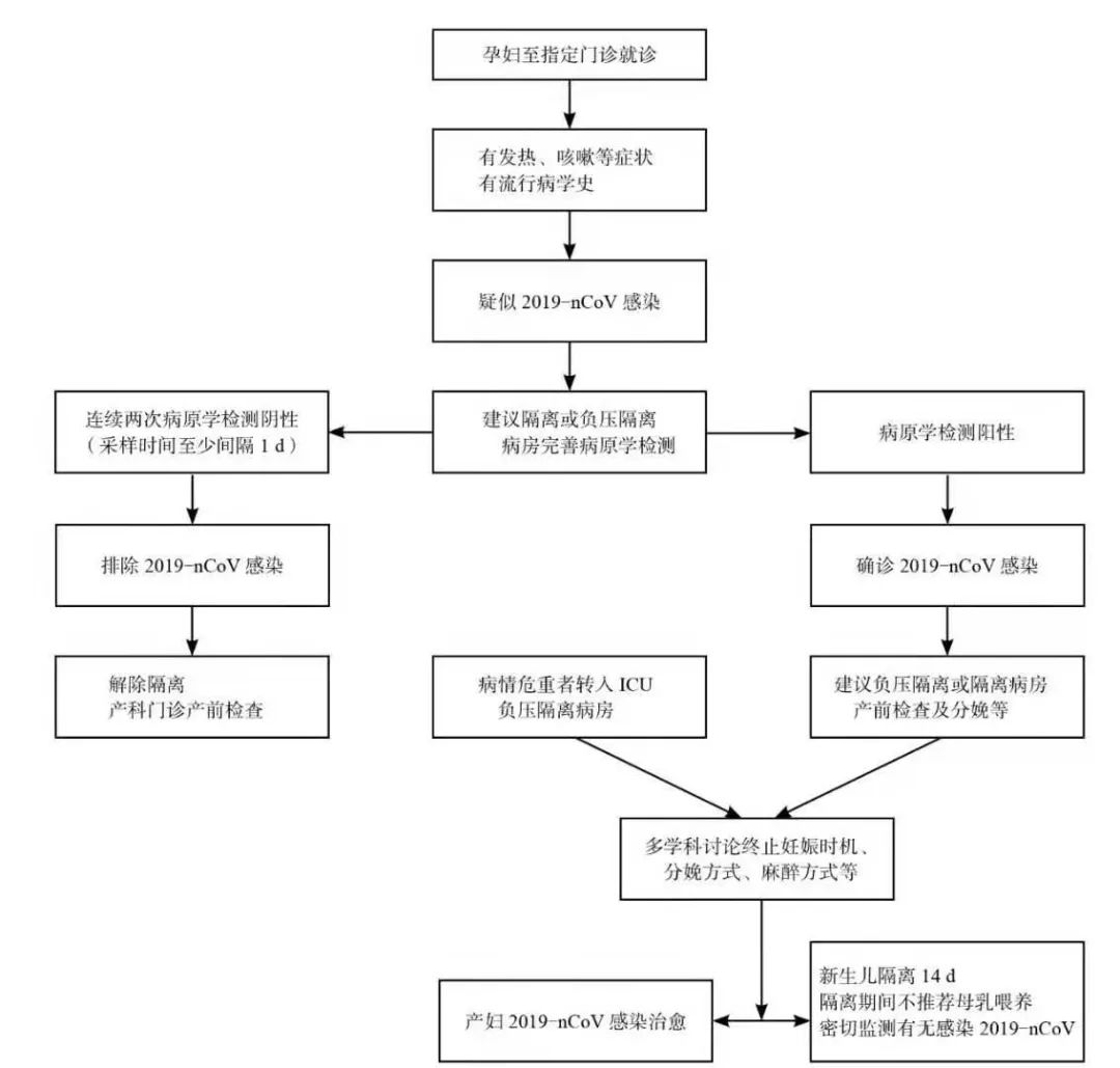 武汉出生 30 小时新生儿确诊，是否说明新冠病毒存在母婴垂直传播？