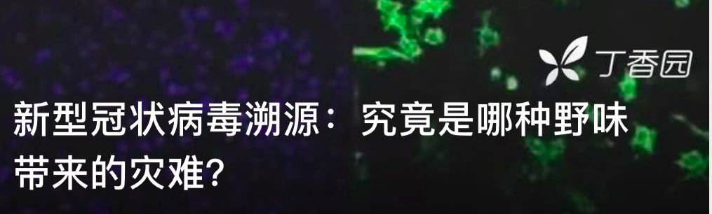 恶魔的起源 | 世界穿山甲日