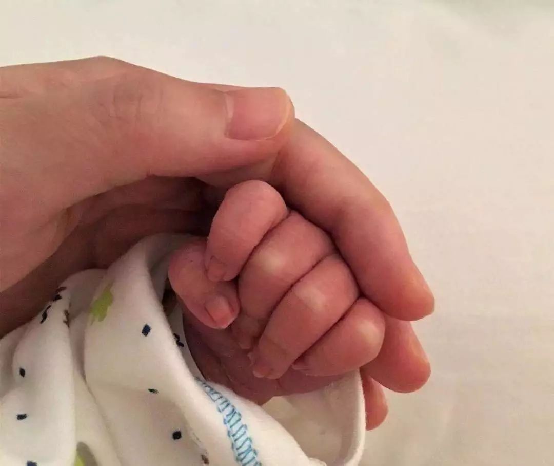 一个未婚妈妈的余力，争取生育保险之路
