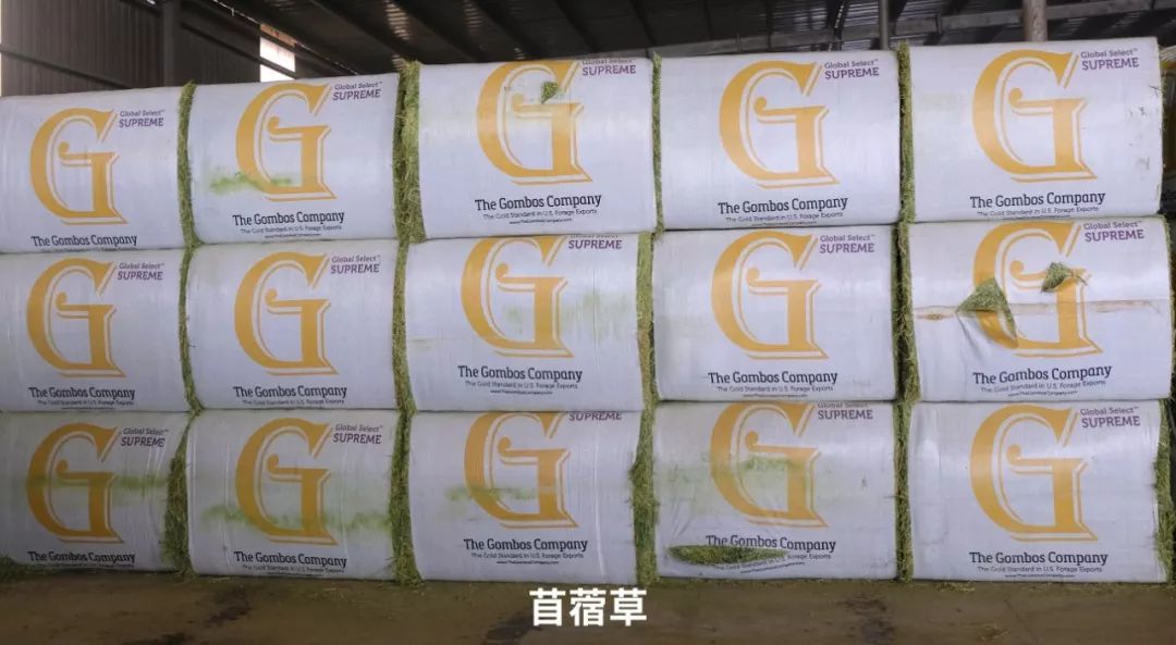 牛奶怎么选才靠谱？选它，补钙又好喝！