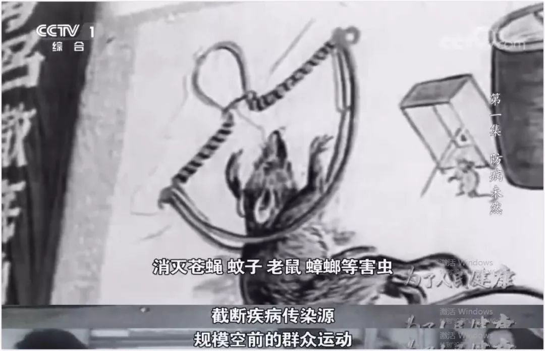 这部纪录片的内容只有两个字：骄傲！