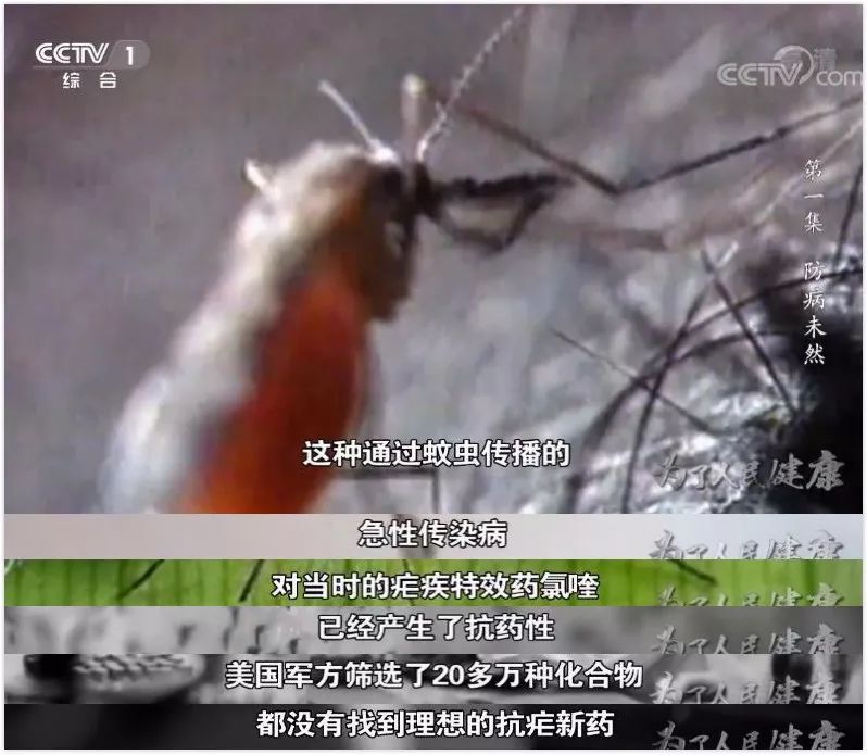 这部纪录片的内容只有两个字：骄傲！