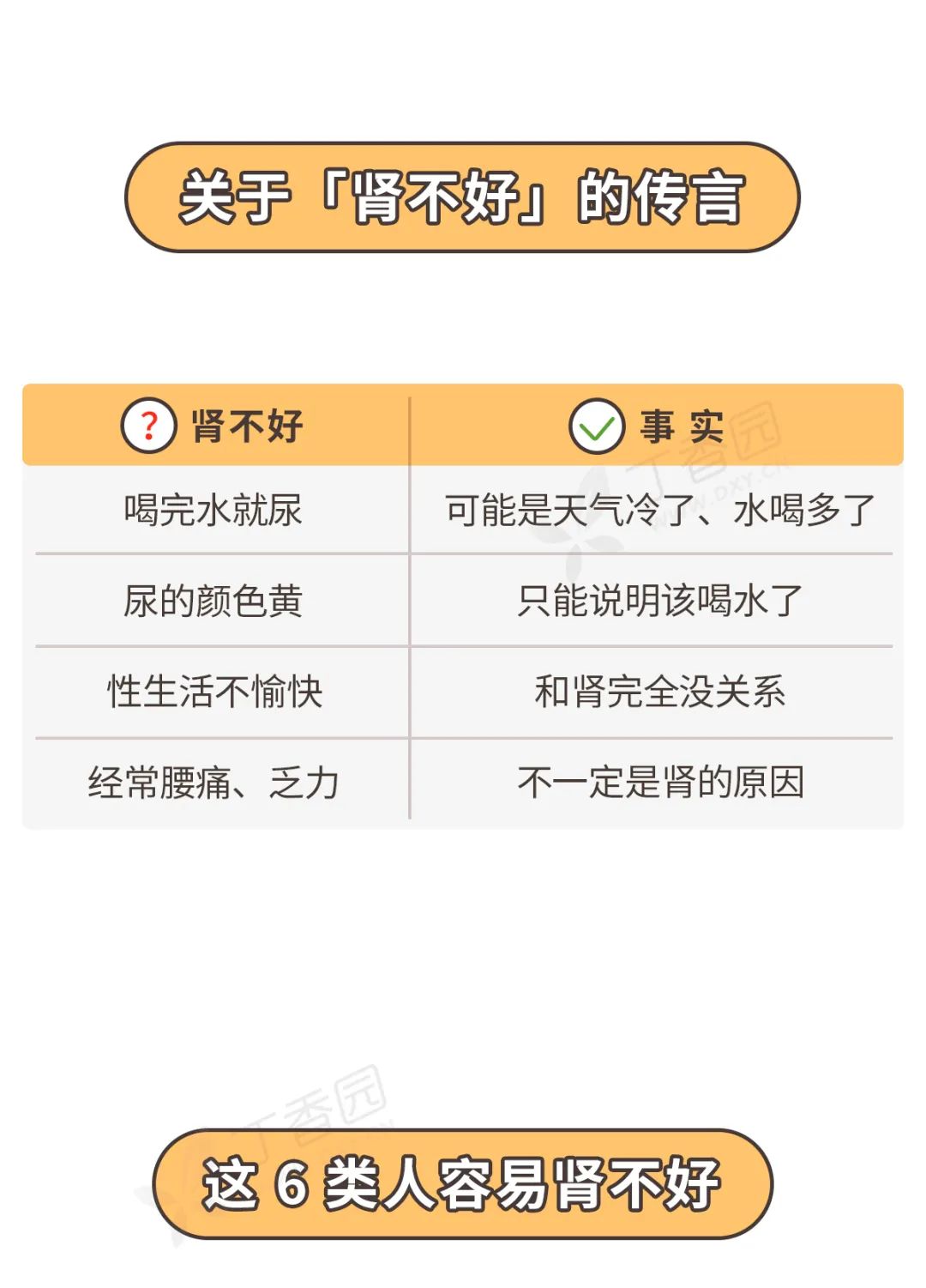 如何保护好你的肾，看这张图就够了 | 世界肾脏日