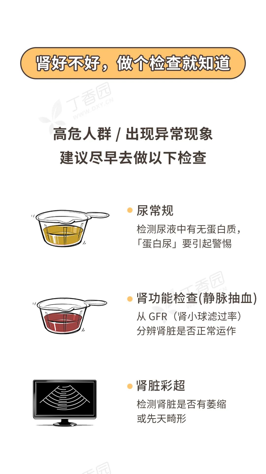 如何保护好你的肾，看这张图就够了 | 世界肾脏日