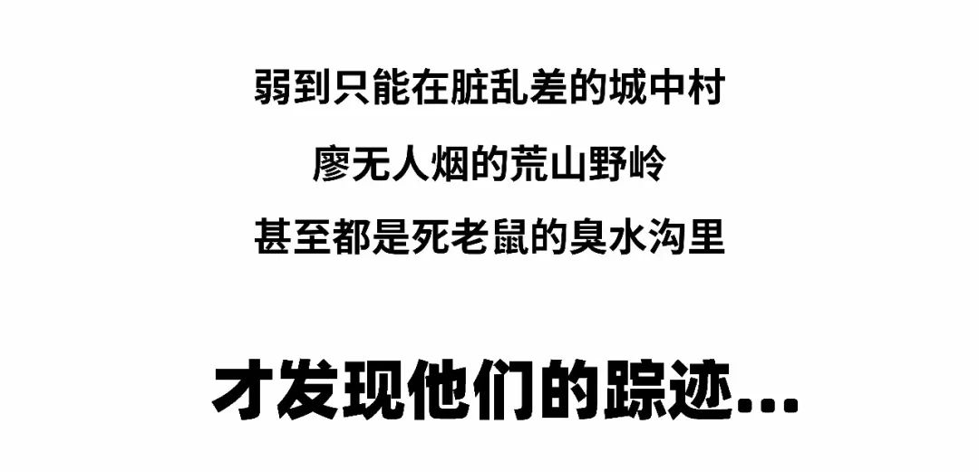 有一种学医的人，存在感真的太太太太太弱了！