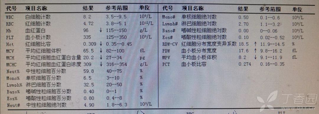 进食冷饮 2h 后，18 岁女孩突然不能行走 | 丁香病例