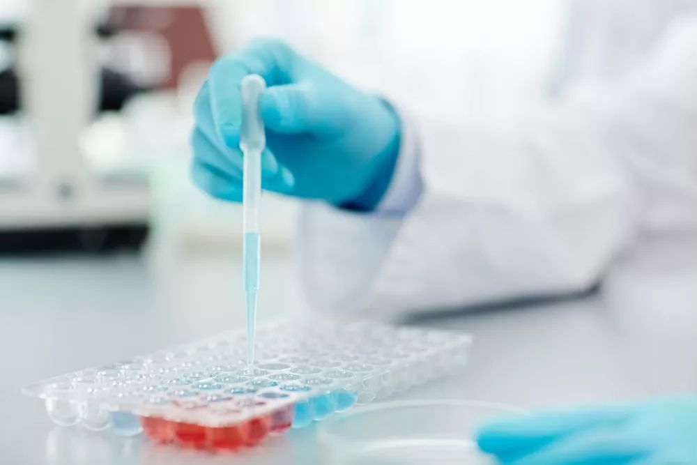 生物学先行，安进加速中国市场步伐——安进副总裁兼中国总经理柯美玲女士专访