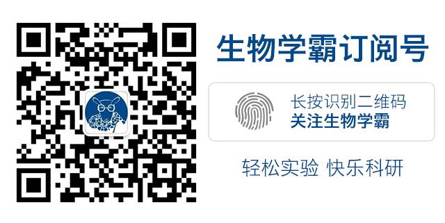 2019 年度「沙雕」新闻精选，操作一个比一个骚……