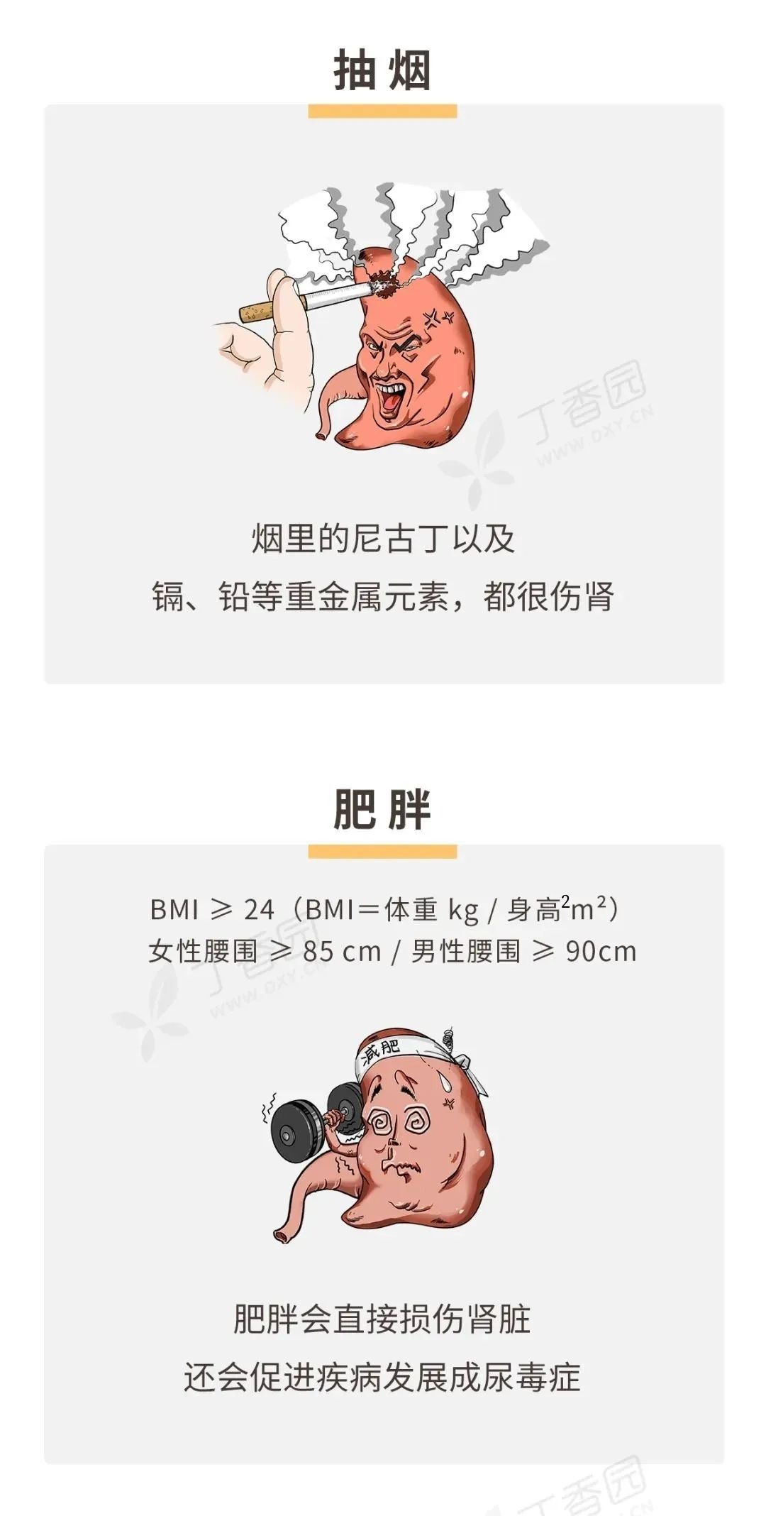 如何保护好你的肾，看这张图就够了 | 世界肾脏日