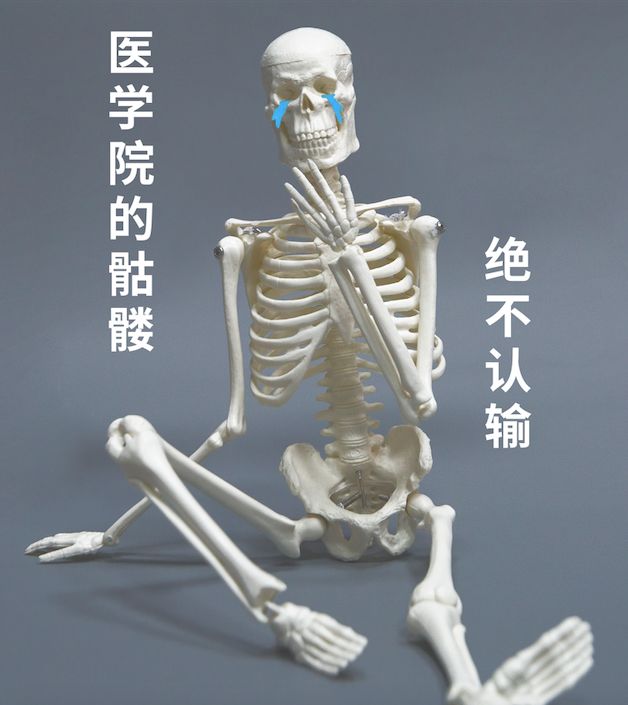如果骨骼也玩 Cosplay