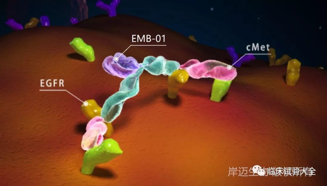 收藏 | 中国重点肿瘤创新药企业在研管线总结 收藏 | 中国重点肿瘤创新药企业在研管线总结