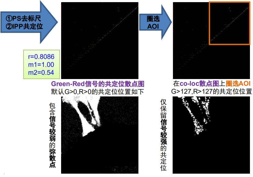 听我的，一次性把论文作图与数据处理全部搞定！