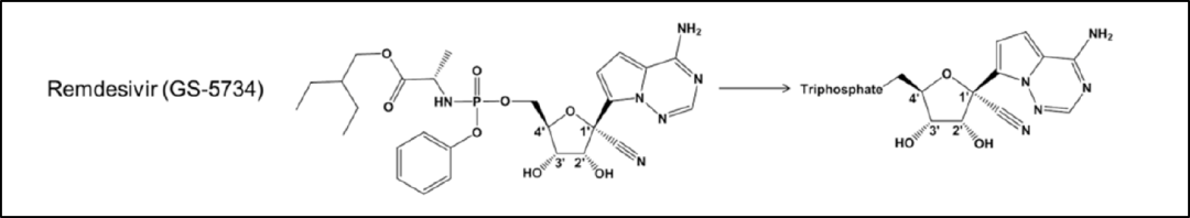新研究:这几种疗法可能成为对抗新冠病毒的「神药」 新研究:这几种疗法可能成为对抗新冠病毒的「神药」