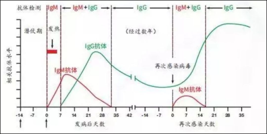 10 分钟快速检测新冠感染，钟南山院士呼吁尽快通过的抗体试剂盒是什么？