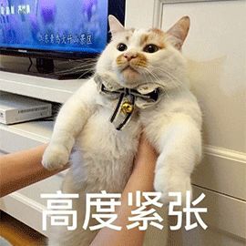 2019 年技能考试考生回忆版，第一时间发布！