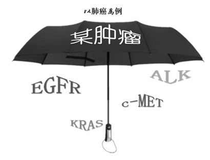 都 9102 年了，你还不知道「篮子试验」是什么？