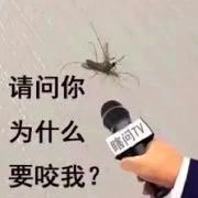 恶毒的花脚蚊子，你终于迎来了绝后的这一天