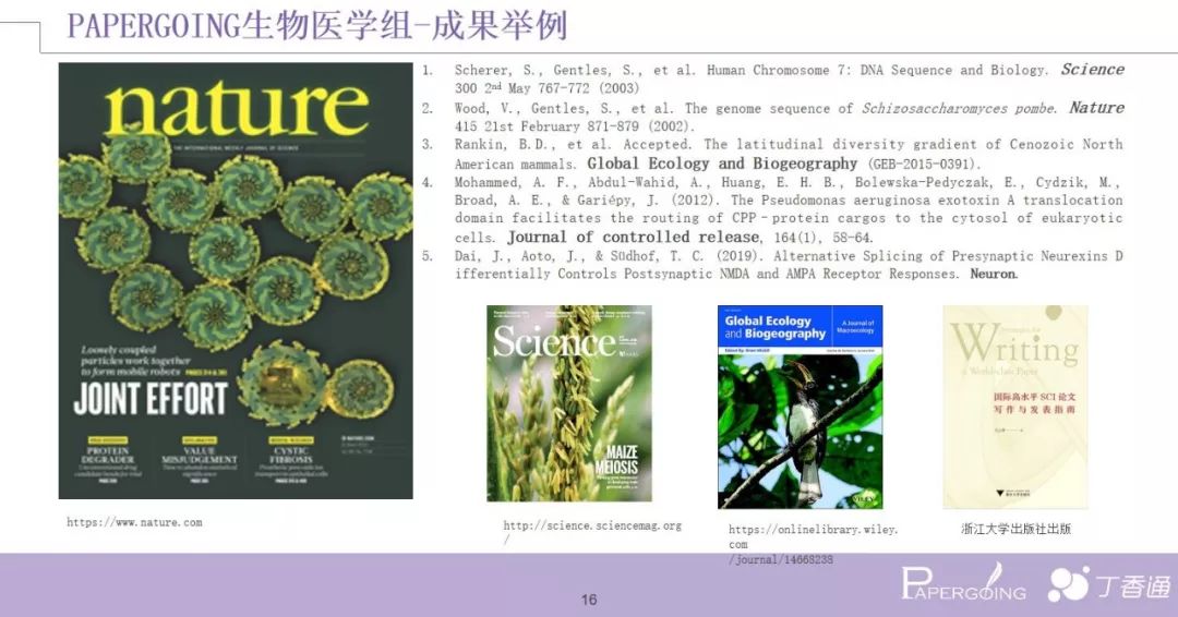 学术小白：我用华丽英文写出的 Paper，导师彻底不想看！