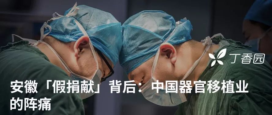 看,不如来! 看,不如来!