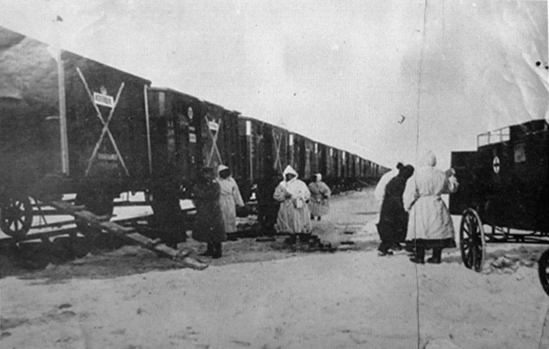 100 年前的东北大鼠疫，67 天消灭疫情的伍连德
