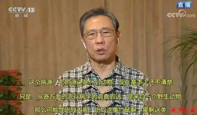 新型冠状病毒溯源：究竟是哪种野味带来的灾难？