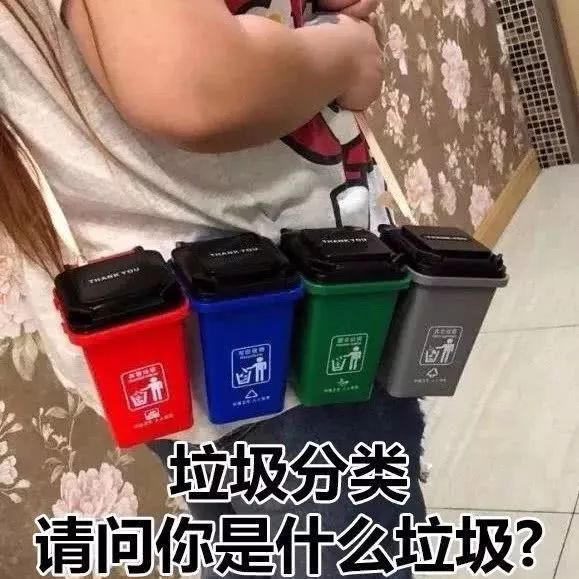 那些垃圾论文，是干垃圾还是湿垃圾？