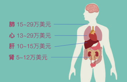 安徽「假捐献」背后：中国器官移植业的阵痛