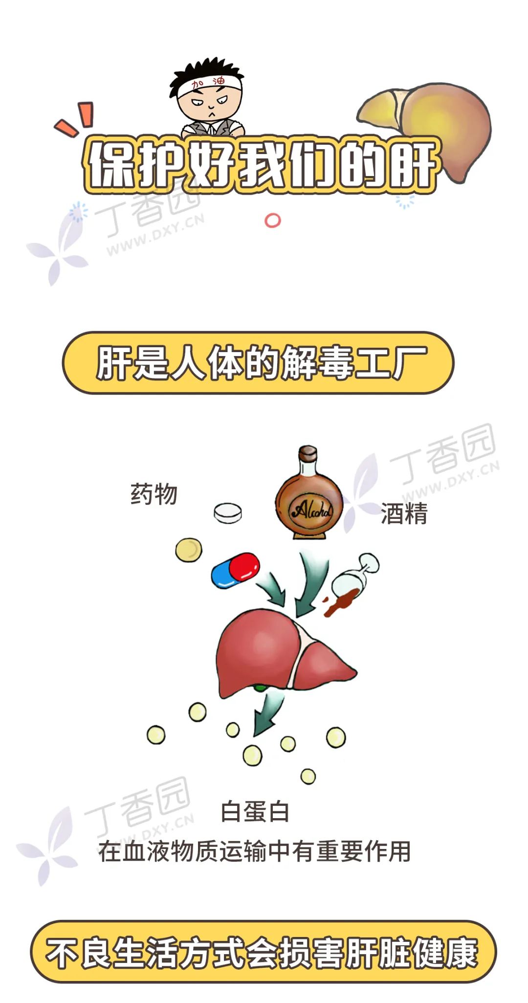 全国爱肝日：这些伤肝的习惯你有吗？