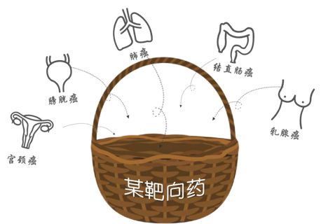都 9102 年了，你还不知道「篮子试验」是什么？