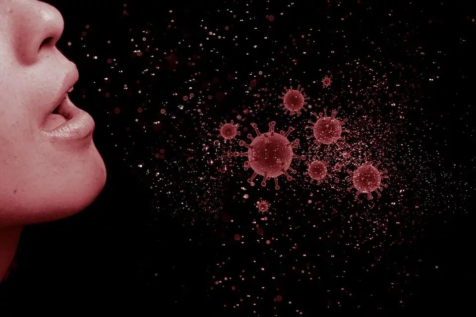 视点：防疫医疗物资出口监管巨变，局内企业何去何从？