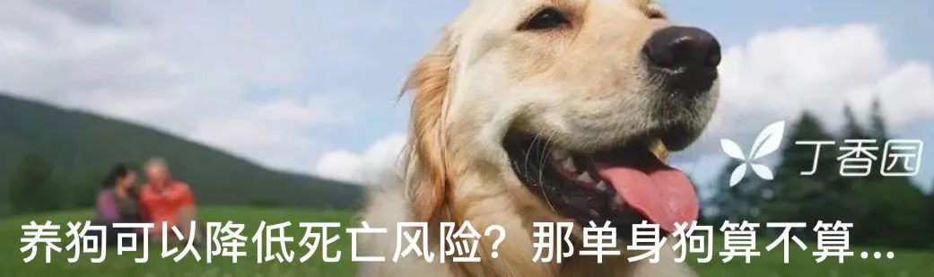 医学狗虽然穷,双十一剁手可能比一般人更狠 医学狗虽然穷,双十一剁手可能比一般人更狠