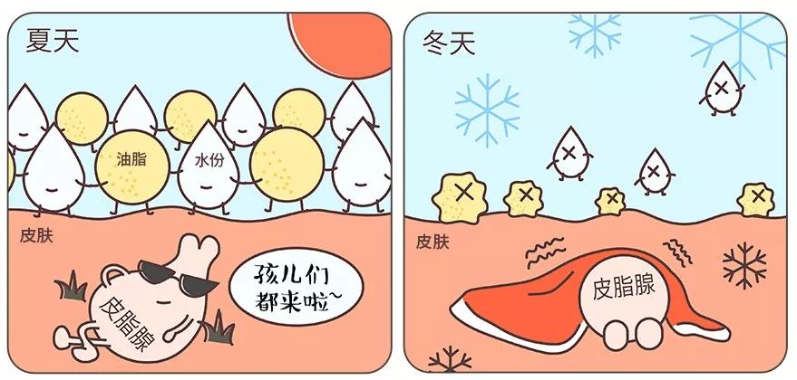 想要肌肤嫩滑?你得补「油」了 想要肌肤嫩滑?你得补「油」了