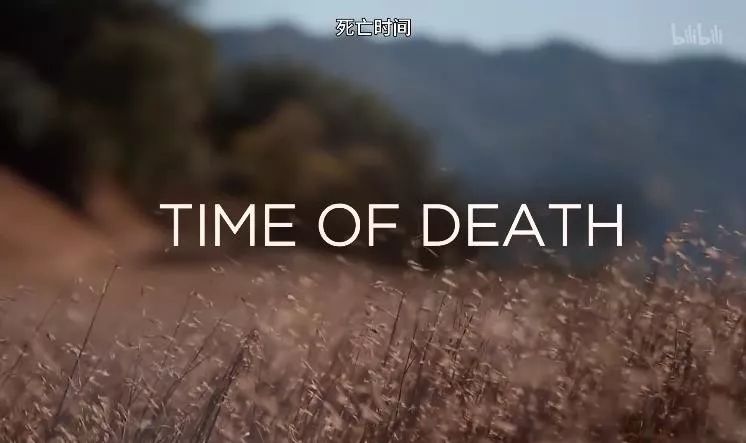 它所有的镜头，都关乎死亡的瞬间