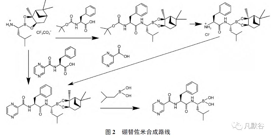 化学仿制药有机杂质分析和控制实例解析